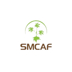 http://www.smcaf.com/wp-content/uploads/2020/06/cropped-LOGO-SMCAF-5.png