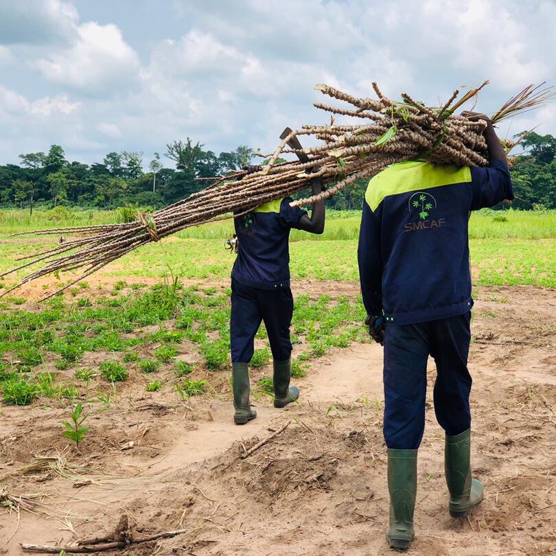 WeChat Image_20210806012633